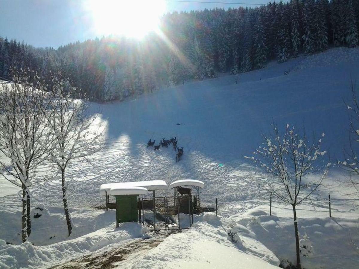Pension Waldfrieden โอแบร์ฮาร์แมร์สบาค ภายนอก รูปภาพ